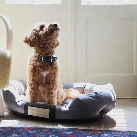 Old Town By Downtown *